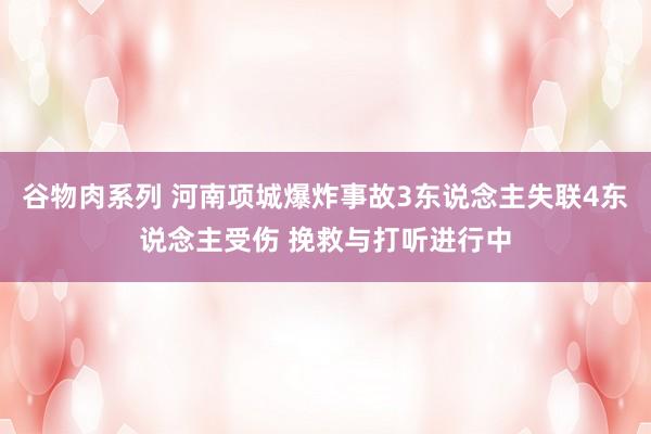 谷物肉系列 河南项城爆炸事故3东说念主失联4东说念主受伤 挽救与打听进行中