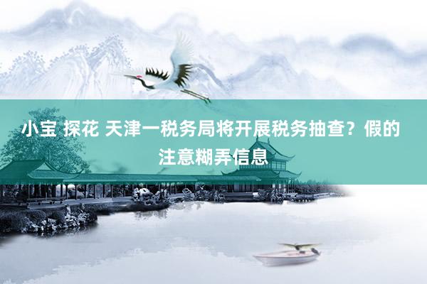 小宝 探花 天津一税务局将开展税务抽查？假的 注意糊弄信息