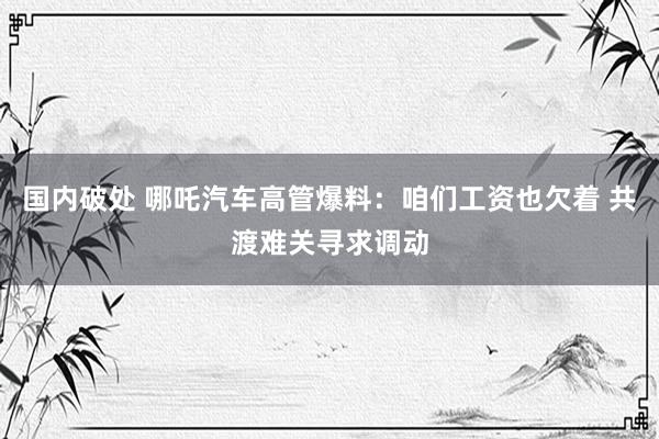 国内破处 哪吒汽车高管爆料：咱们工资也欠着 共渡难关寻求调动