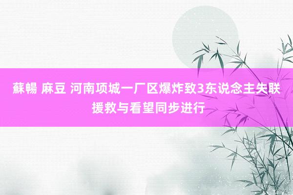 蘇暢 麻豆 河南项城一厂区爆炸致3东说念主失联 援救与看望同步进行