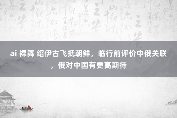 ai 裸舞 绍伊古飞抵朝鲜，临行前评价中俄关联，俄对中国有更高期待