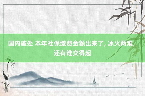 国内破处 本年社保缴费金额出来了， 冰火两难， 还有谁交得起