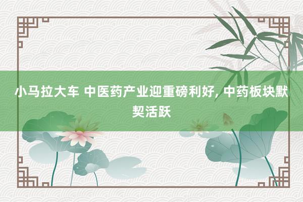 小马拉大车 中医药产业迎重磅利好， 中药板块默契活跃