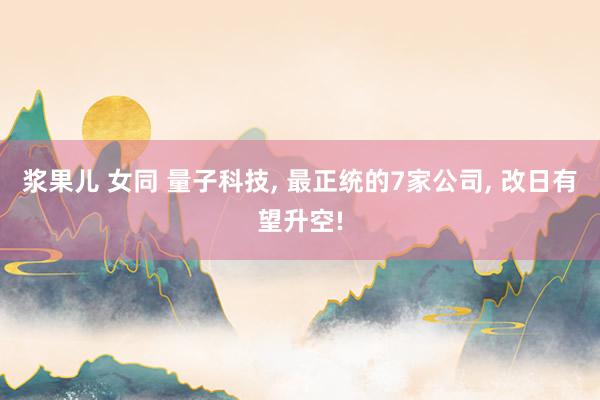 浆果儿 女同 量子科技, 最正统的7家公司, 改日有望升空!