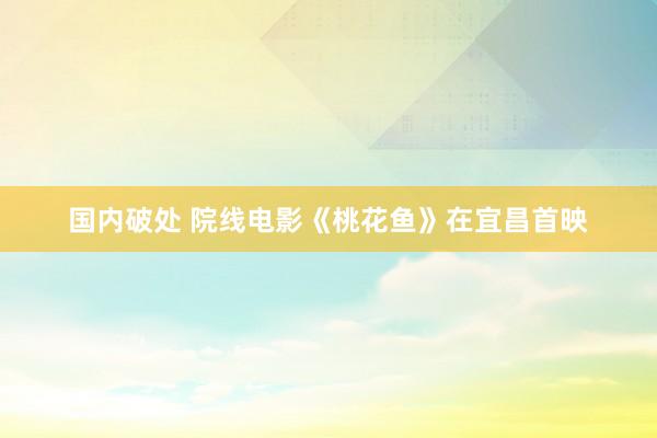 国内破处 院线电影《桃花鱼》在宜昌首映