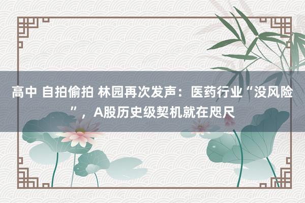 高中 自拍偷拍 林园再次发声：医药行业“没风险”，A股历史级契机就在咫尺