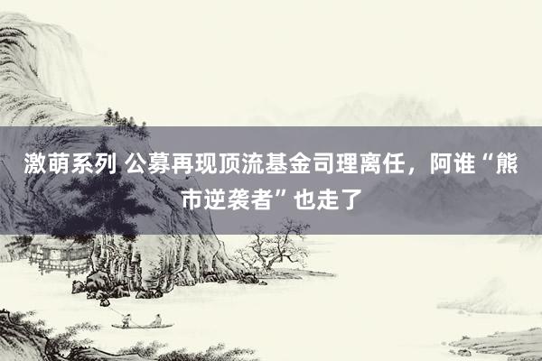 激萌系列 公募再现顶流基金司理离任，阿谁“熊市逆袭者”也走了