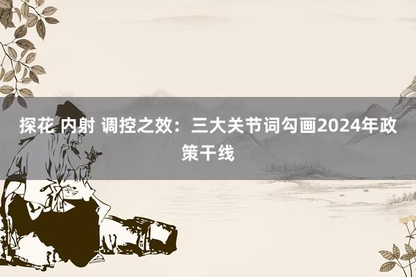 探花 内射 调控之效：三大关节词勾画2024年政策干线