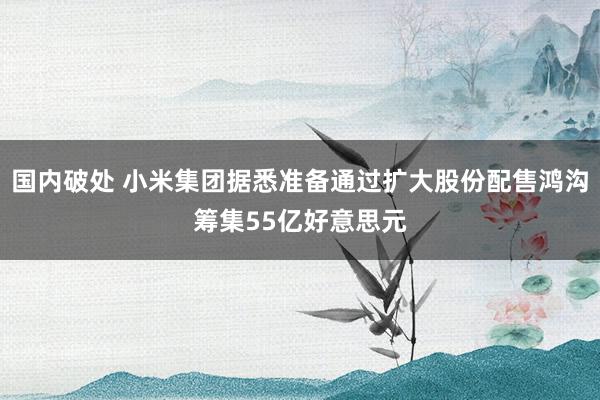 国内破处 小米集团据悉准备通过扩大股份配售鸿沟筹集55亿好意思元