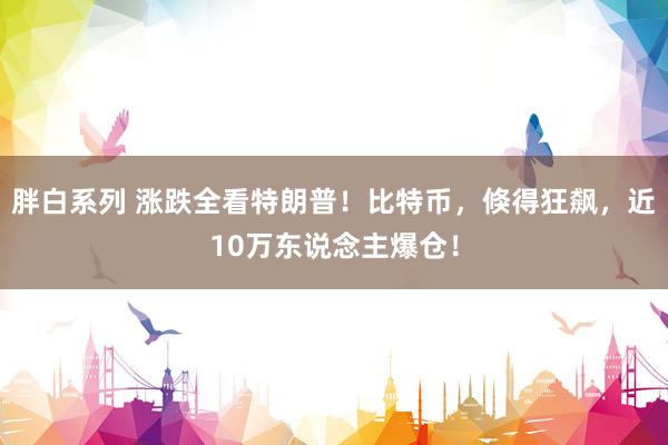 胖白系列 涨跌全看特朗普！比特币，倏得狂飙，近10万东说念主爆仓！