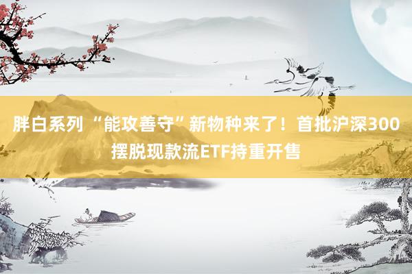 胖白系列 “能攻善守”新物种来了！首批沪深300摆脱现款流ETF持重开售
