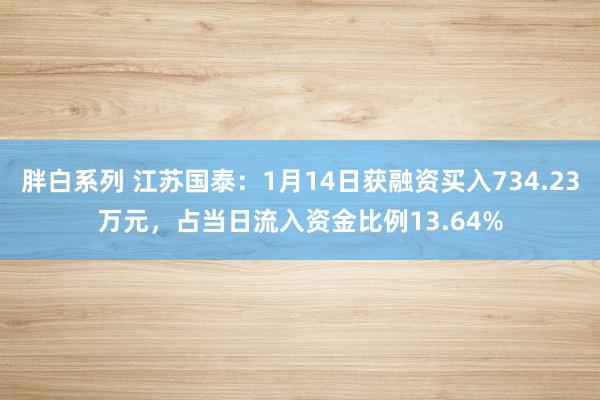 胖白系列 江苏国泰：1月14日获融资买入734.23万元，占当日流入资金比例13.64%