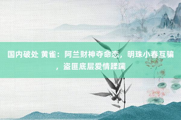 国内破处 黄雀：阿兰财神夺命恋，明珠小春互骗，盗匪底层爱情蹂躏