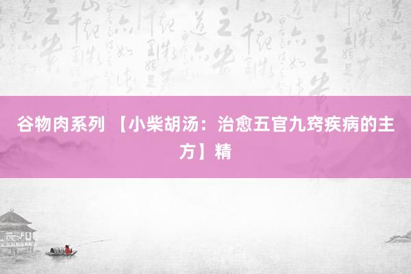 谷物肉系列 【小柴胡汤：治愈五官九窍疾病的主方】精