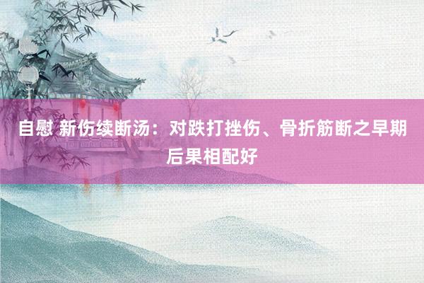 自慰 新伤续断汤：对跌打挫伤、骨折筋断之早期后果相配好