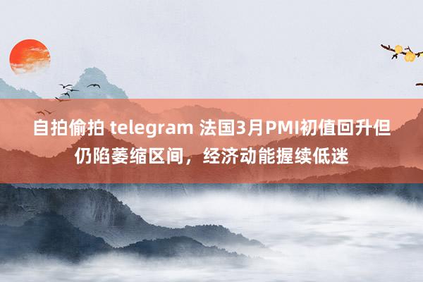 自拍偷拍 telegram 法国3月PMI初值回升但仍陷萎缩区间，经济动能握续低迷