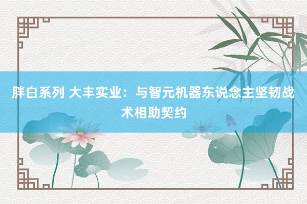 胖白系列 大丰实业：与智元机器东说念主坚韧战术相助契约