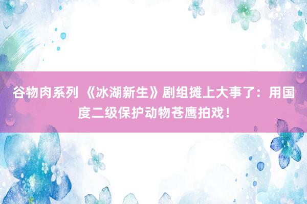 谷物肉系列 《冰湖新生》剧组摊上大事了：用国度二级保护动物苍鹰拍戏！