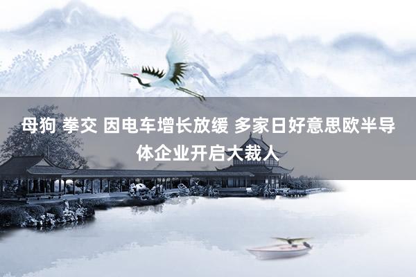 母狗 拳交 因电车增长放缓 多家日好意思欧半导体企业开启大裁人