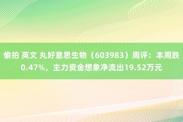 偷拍 英文 丸好意思生物（603983）周评：本周跌0.47%，主力资金想象净流出19.52万元