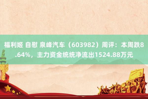 福利姬 自慰 泉峰汽车（603982）周评：本周跌8.64%，主力资金统统净流出1524.88万元