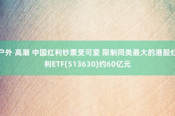 户外 高潮 中国红利钞票受可爱 限制同类最大的港股红利ETF(513630)约60亿元