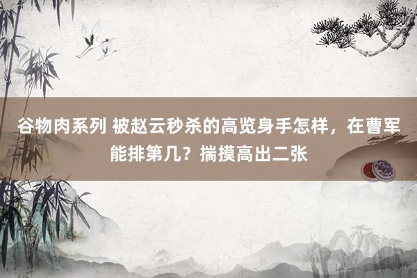 谷物肉系列 被赵云秒杀的高览身手怎样，在曹军能排第几？揣摸高出二张