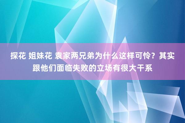 探花 姐妹花 袁家两兄弟为什么这样可怜？其实跟他们面临失败的立场有很大干系
