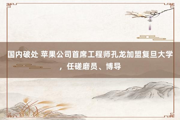 国内破处 苹果公司首席工程师孔龙加盟复旦大学，任磋磨员、博导