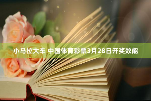 小马拉大车 中国体育彩票3月28日开奖效能
