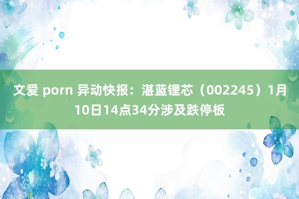 文爱 porn 异动快报：湛蓝锂芯（002245）1月10日14点34分涉及跌停板