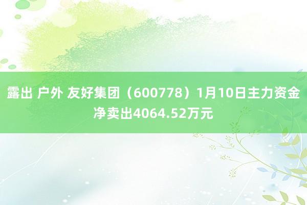 露出 户外 友好集团（600778）1月10日主力资金净卖出4064.52万元
