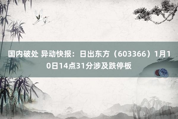 国内破处 异动快报：日出东方（603366）1月10日14点31分涉及跌停板