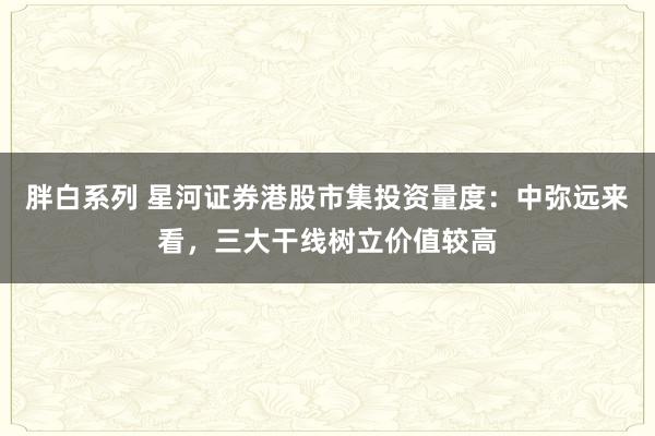 胖白系列 星河证券港股市集投资量度：中弥远来看，三大干线树立价值较高