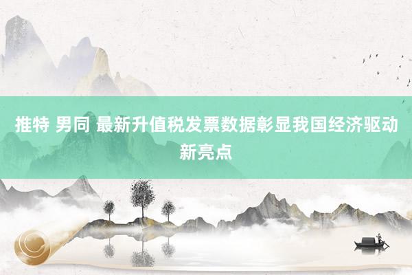 推特 男同 最新升值税发票数据彰显我国经济驱动新亮点
