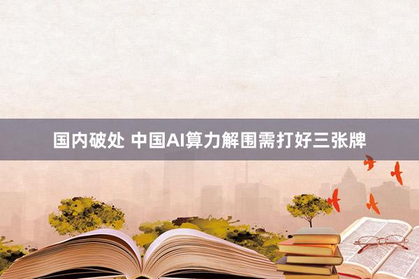 国内破处 中国AI算力解围需打好三张牌