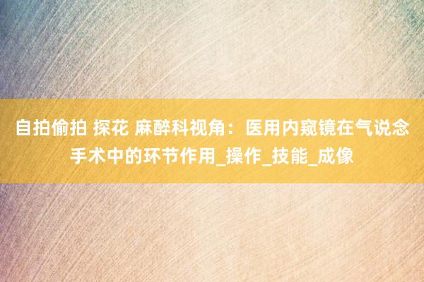 自拍偷拍 探花 麻醉科视角：医用内窥镜在气说念手术中的环节作用_操作_技能_成像