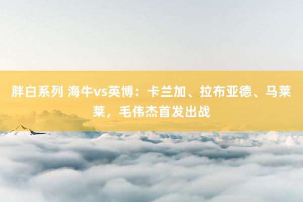 胖白系列 海牛vs英博：卡兰加、拉布亚德、马莱莱，毛伟杰首发出战