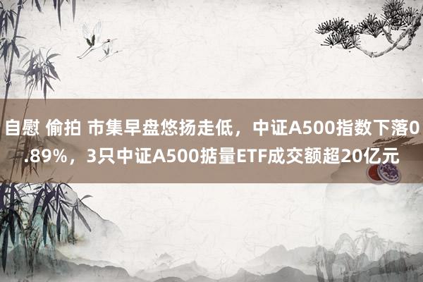 自慰 偷拍 市集早盘悠扬走低，中证A500指数下落0.89%，3只中证A500掂量ETF成交额超20亿元