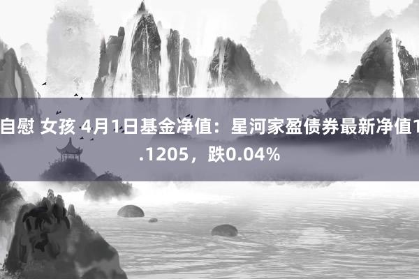 自慰 女孩 4月1日基金净值：星河家盈债券最新净值1.1205，跌0.04%