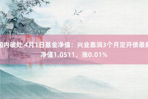 国内破处 4月1日基金净值：兴业嘉润3个月定开债最新净值1.0511，涨0.01%