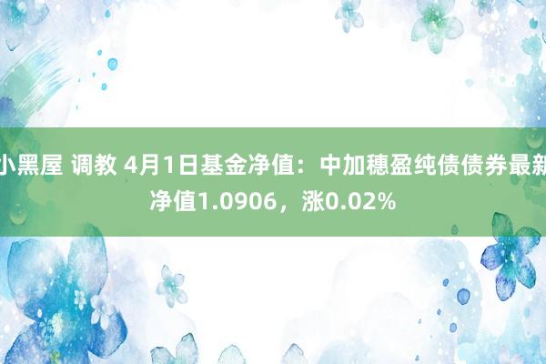 小黑屋 调教 4月1日基金净值：中加穗盈纯债债券最新净值1.0906，涨0.02%
