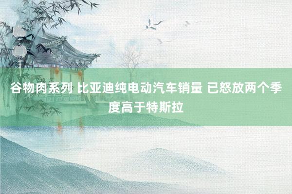谷物肉系列 比亚迪纯电动汽车销量 已怒放两个季度高于特斯拉
