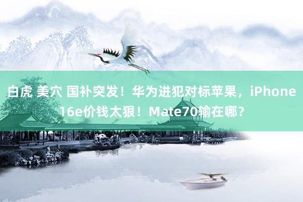 白虎 美穴 国补突发！华为进犯对标苹果，iPhone16e价钱太狠！Mate70输在哪？
