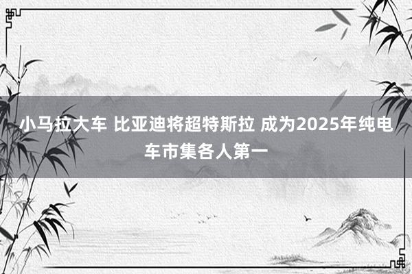 小马拉大车 比亚迪将超特斯拉 成为2025年纯电车市集各人第一
