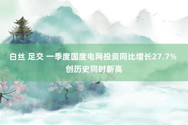 白丝 足交 一季度国度电网投资同比增长27.7% 创历史同时新高