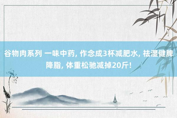 谷物肉系列 一味中药, 作念成3杯减肥水, 祛湿健脾降脂, 体重松驰减掉20斤!