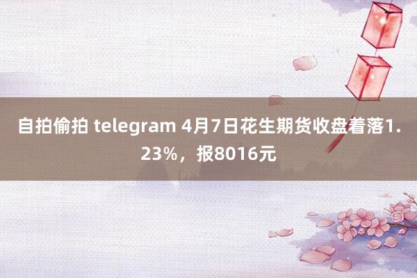 自拍偷拍 telegram 4月7日花生期货收盘着落1.23%，报8016元
