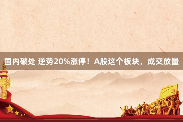 国内破处 逆势20%涨停！A股这个板块，成交放量