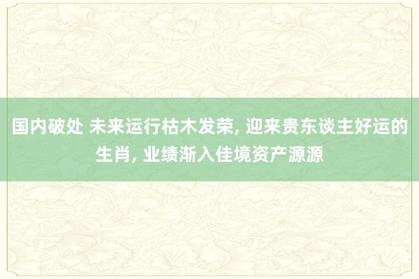 国内破处 未来运行枯木发荣， 迎来贵东谈主好运的生肖， 业绩渐入佳境资产源源